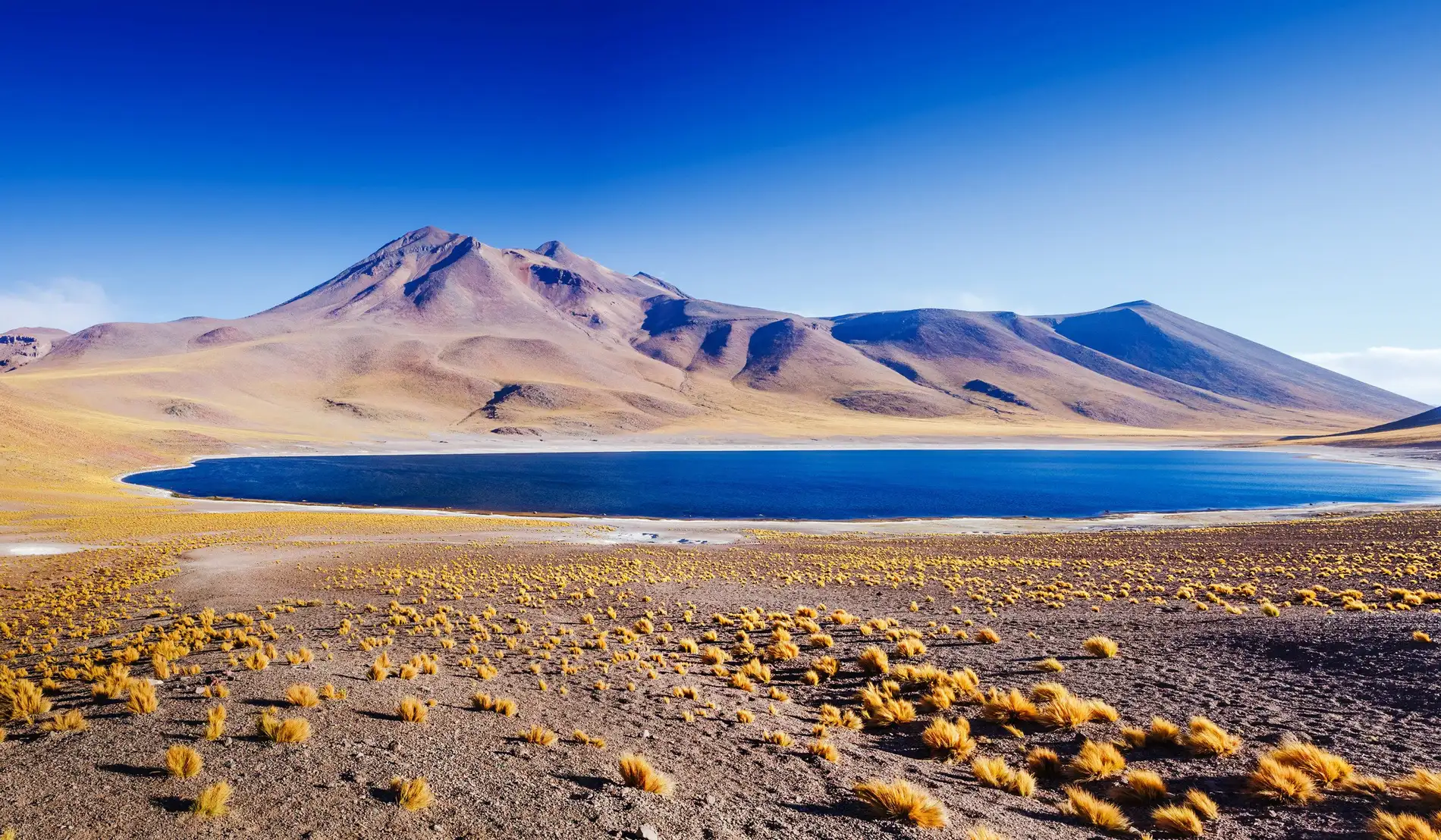 Atacama desert dunes at sunset